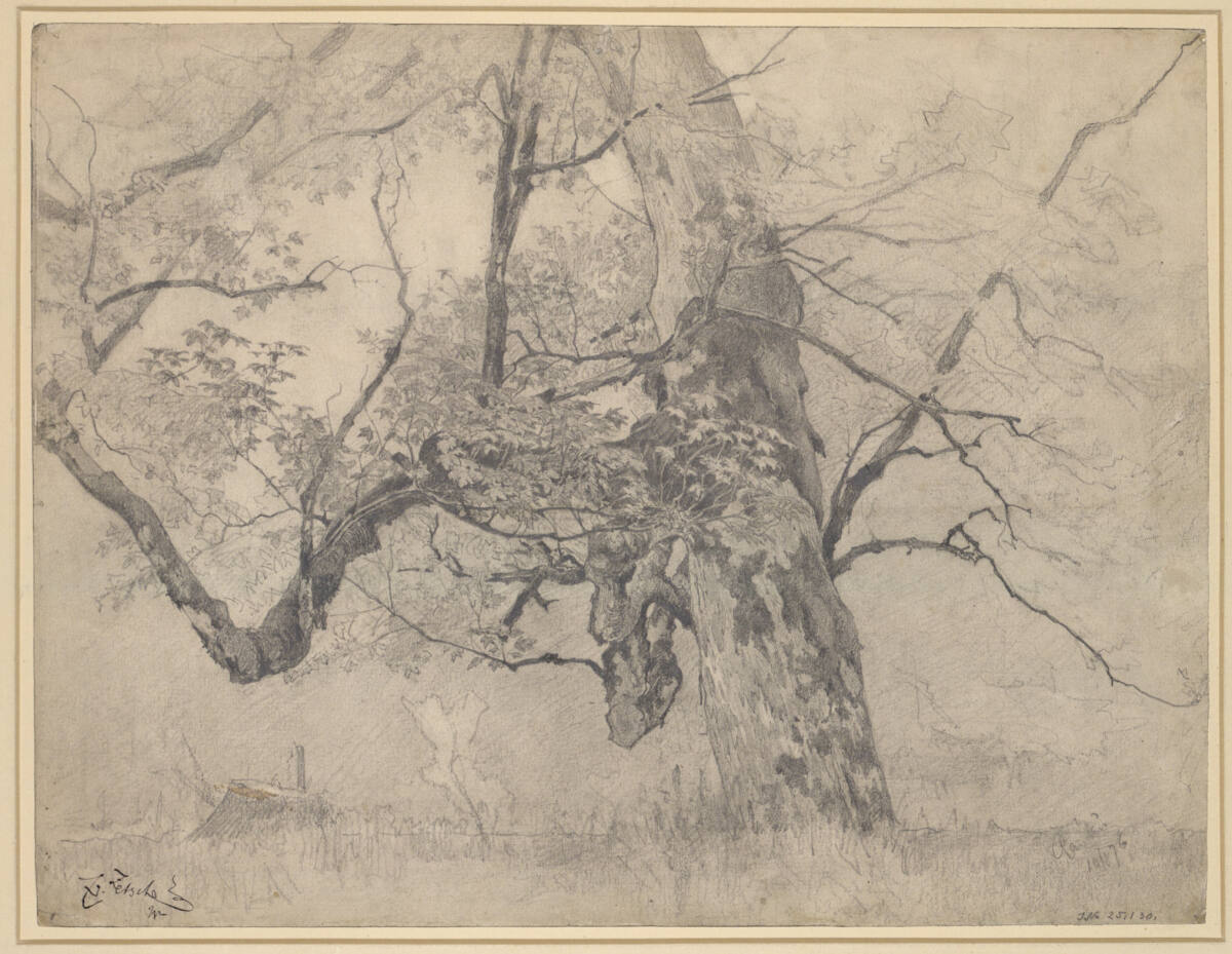 Baumstudie, Eduard Zetsche, 1876