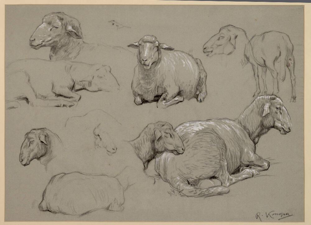 Rudolf Konopa, Studien nach Schafen, Inv. Nr.: 25181
