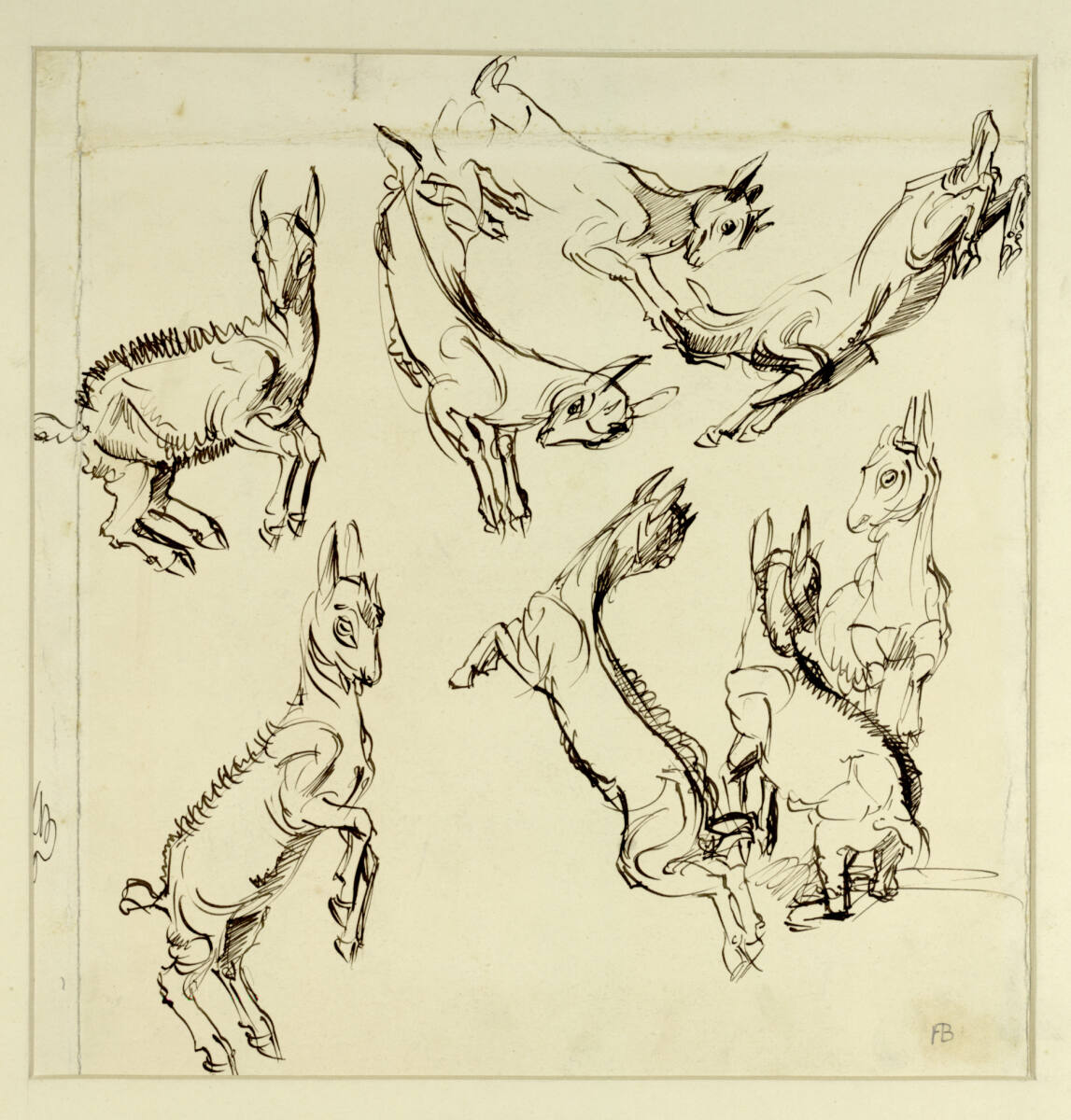 Ziegenstudien, Franz Barwig
