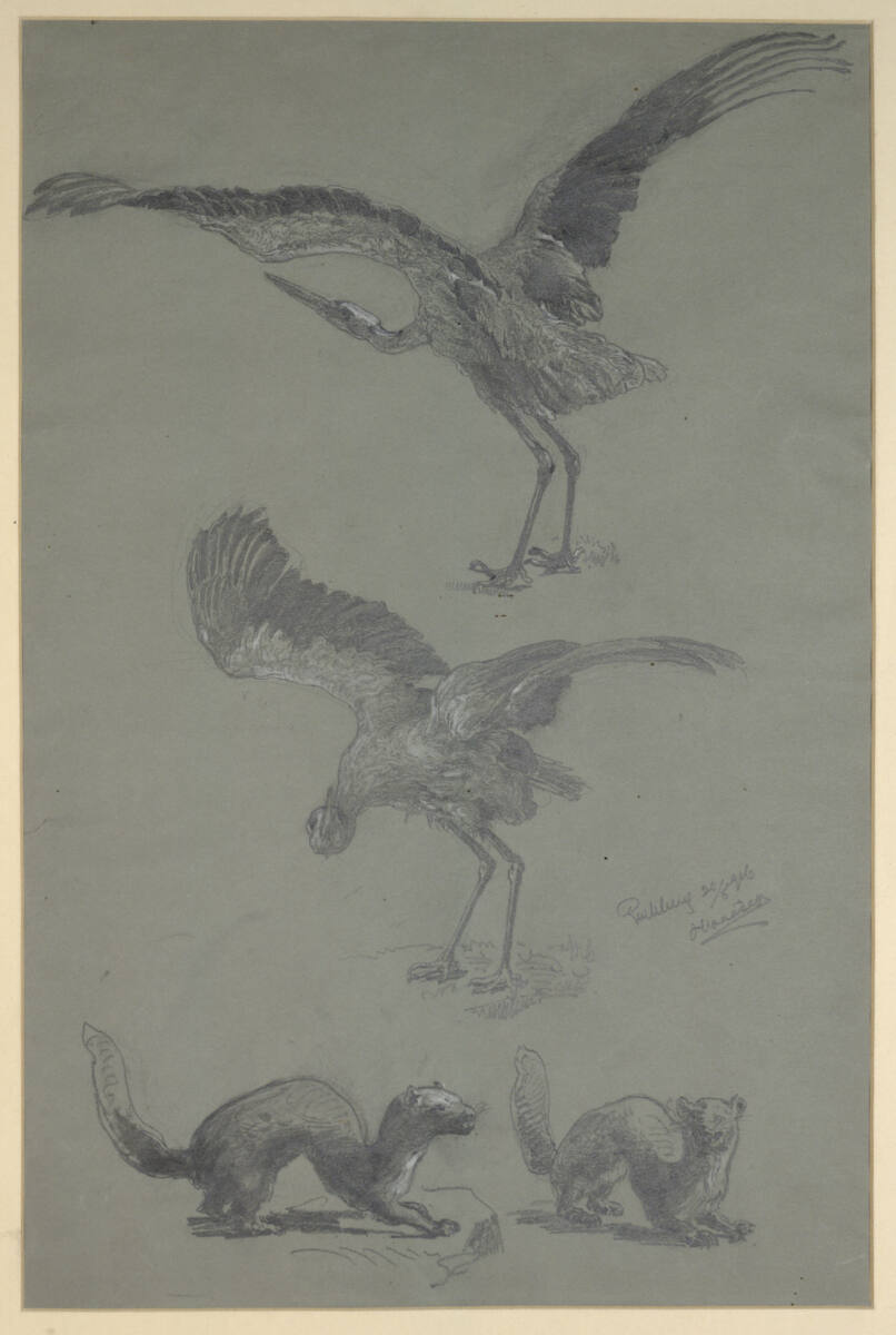 Tierstudien (Eichhörnchen und Storch), Anton Hlavácek, 1916