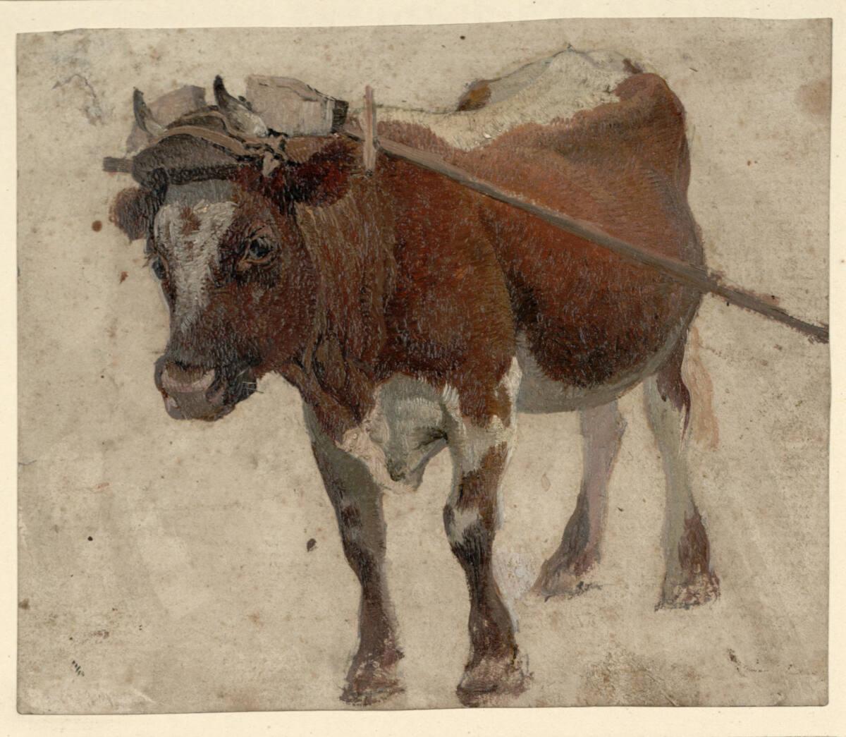 Friedrich Philipp Reinhold, Studie eines Arbeitsochsen unter dem Joch, Inv. Nr.: 25640