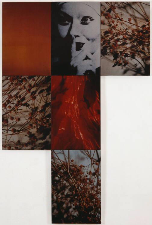 Birgit Jürgenssen, Nonne, Inv. Nr.: EDLDB3825