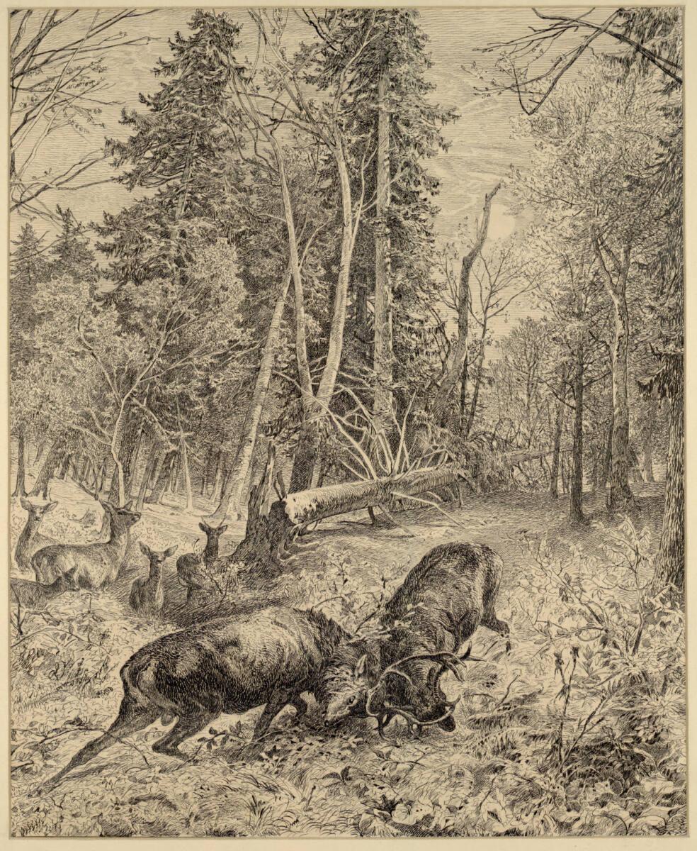 August Schäffer, Franz von Pausinger(Staffage), Lainzer Tiergarten: Am Brand, Inv. Nr.: 25900