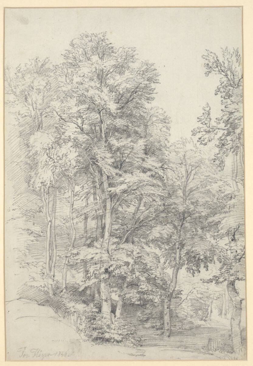 Waldstudie, Joseph Höger, 1846