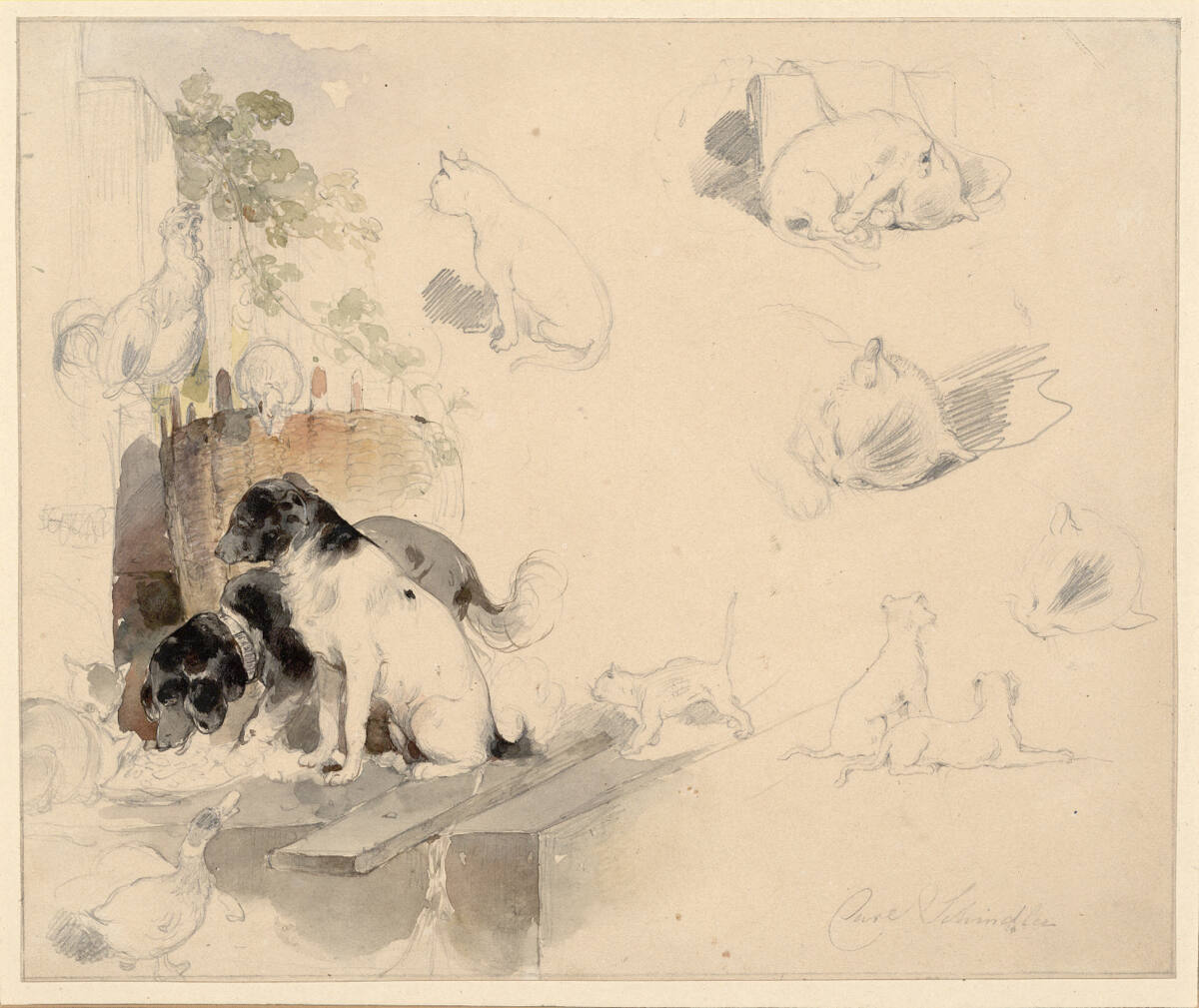 Hunde, Katzen und Geflügel, Carl Schindler, 1838–1842