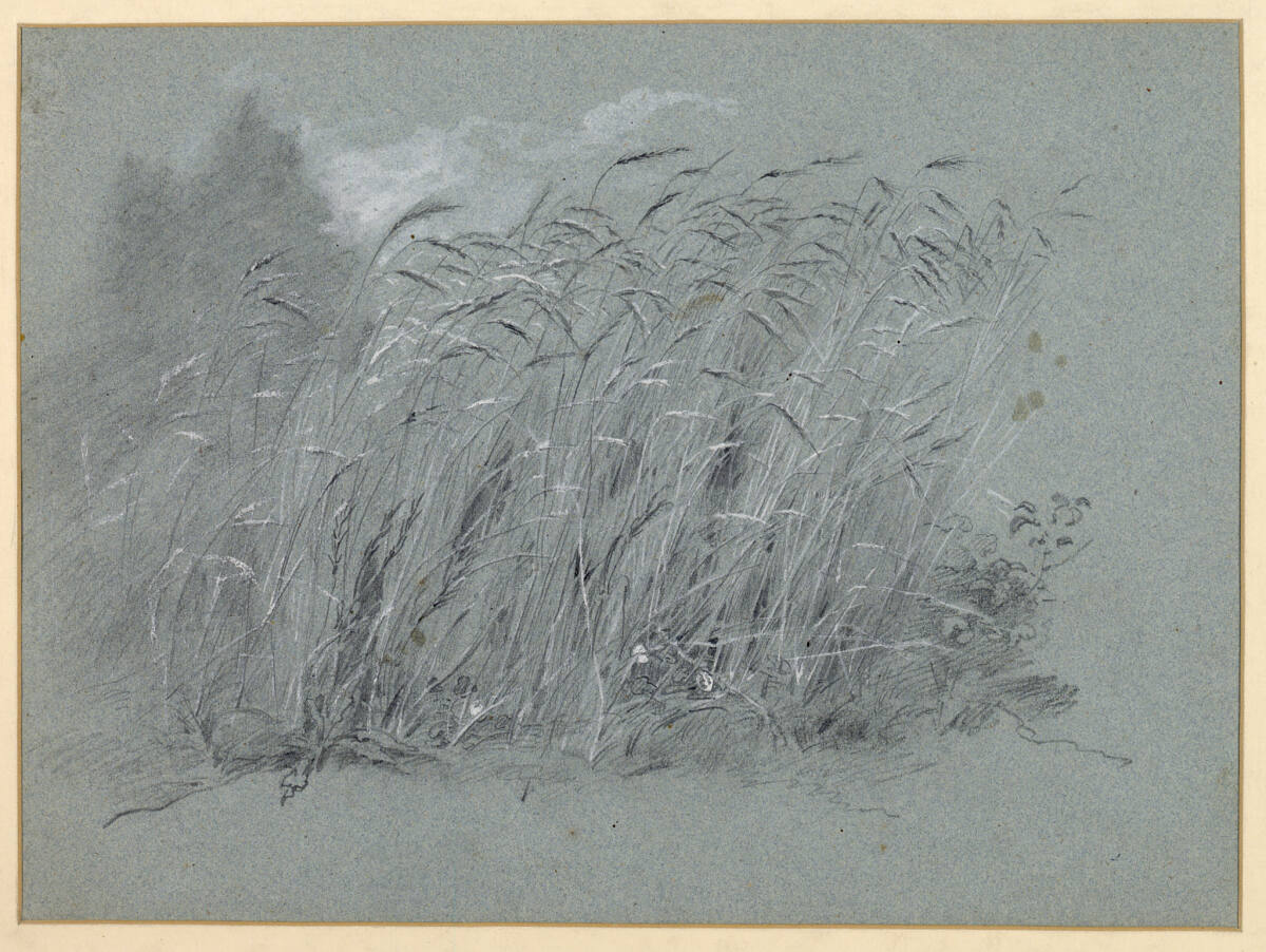Getreidestudie zu "Der abgewiesene Freier", Josef Danhauser