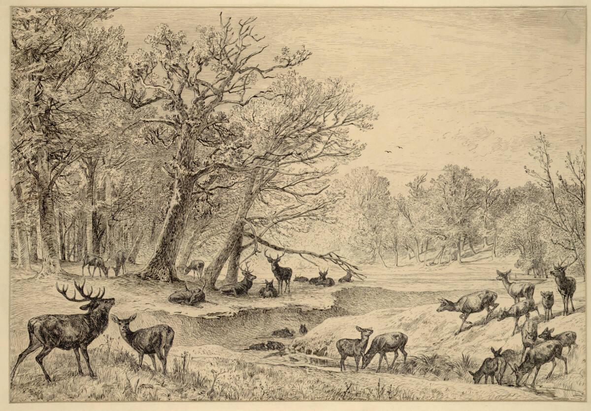 August Schäffer, Tiergruppe aus dem Lainzer Tiergarten, Inv. Nr.: 26044
