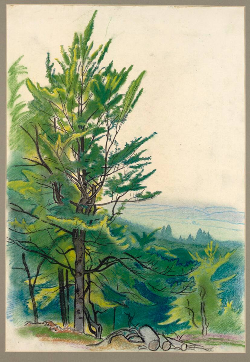 Baum mit Ebene, Franz Wacik