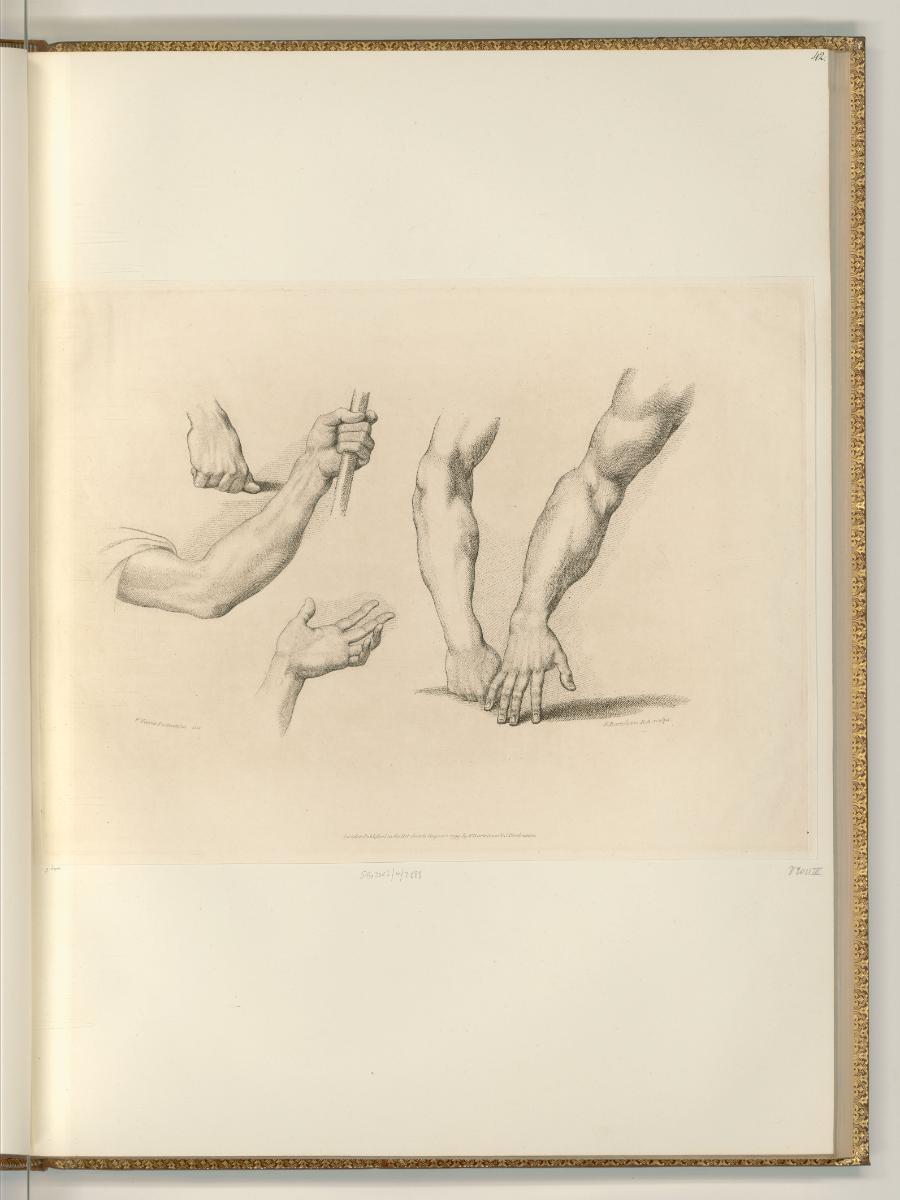 Francesco Bartolozzi vol. 17, Arm- und Handstudien, Inv. Nr.: Italien nach Sektionen I/59, It/I…