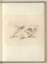 Francesco Bartolozzi vol. 17, Bein- und Fußstudien, Inv. Nr.: Italien nach Sektionen I/59, It/I…