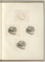 Francesco Bartolozzi vol. 17, For the Benefit of Mrs. Banti (Billet), Inv. Nr.: Italien nach Se…