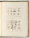 Francesco Bartolozzi vol. 17, Augenstudien; Ohrstudien, Inv. Nr.: Italien nach Sektionen I/59, …