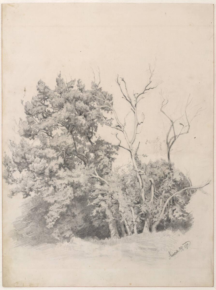 Carl Schuch, Motiv bei Ariccia, Inv. Nr.: 26154