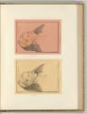 François Bartolozzi. Vol. XXIV., Porträt  Lady Eliot, Inv. Nr.: Italien nach Sektionen I/66, It…