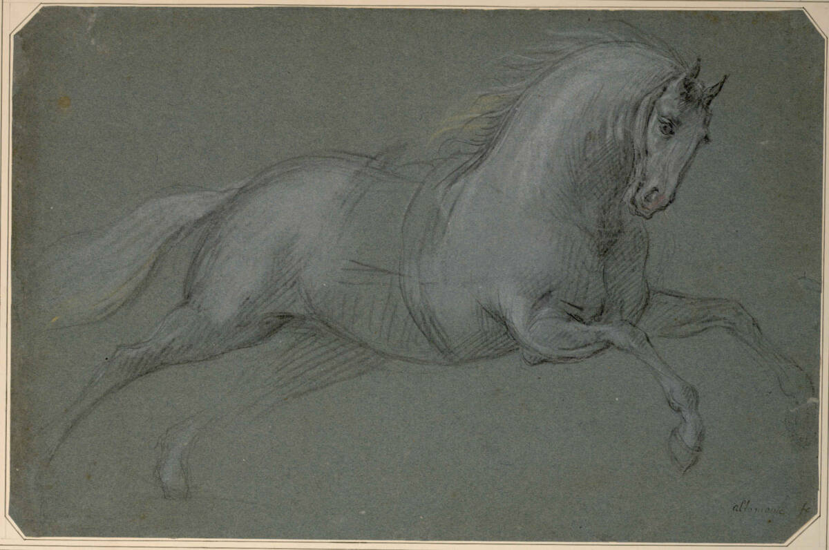 Galoppierender Schimmel, Martino Altomonte