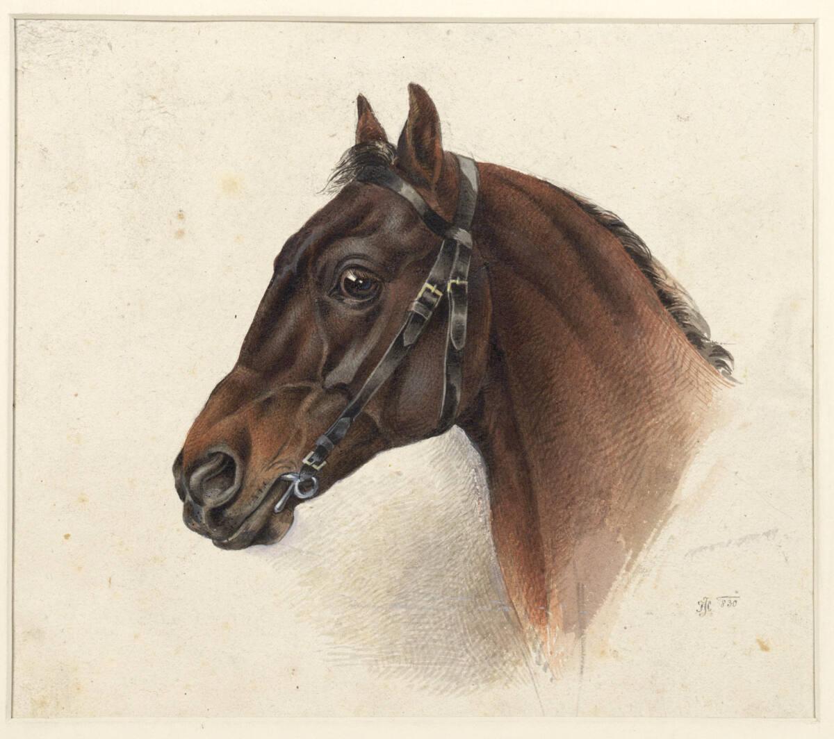 Joseph Heicke, Pferdekopf, Inv. Nr.: 26288