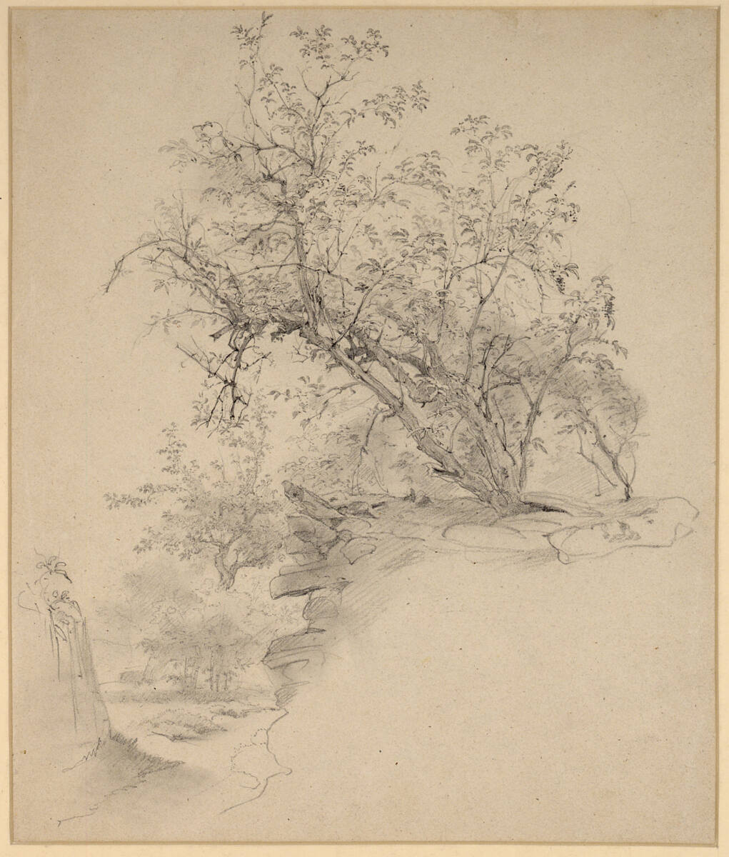 Baumstudie, Josef Danhauser, 1842–1845