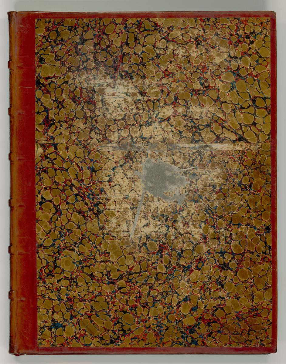 Tom. Guidi, Masaccio, A. Verrocchio, A. Pollajolo, Sandro Botticelli, L. Signorelli, P. di Cosi…