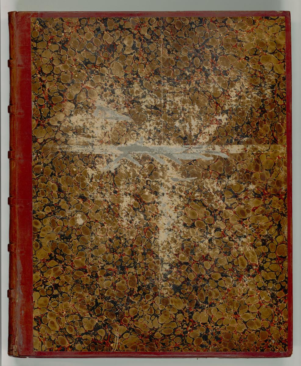 Andrea del Sarto, Deckel vorne, Inv. Nr.: Italien nach Sektionen II/6, It/II/6/0/1/DV