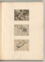 Raffaello Santi II. Die Loggien, Altes Testament (Raffael Bibel), Inv. Nr.: Italien nach Sektio…