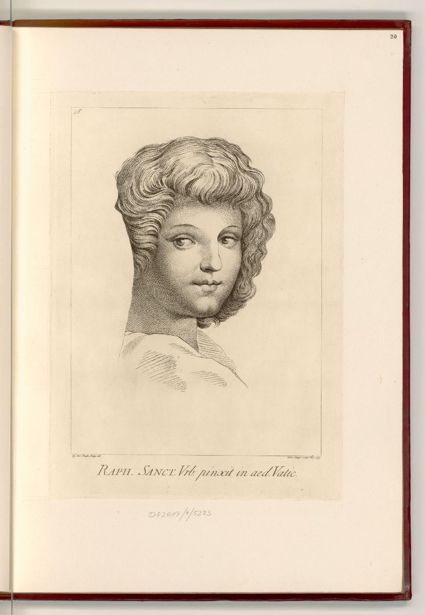 Raffaello Santi IV, Die Stanza della Segnatura, Schule von Athen, Kopf eines Knaben, Inv. Nr.: …
