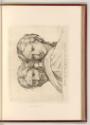 Raffaello Santi IV, Die Stanza della Segnatura, Schule von Athen, Kopf zweier Männer, Inv. Nr.:…