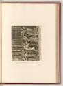 Raffaello Santi V. Die Stanzen II. III. & IV.- Die Arazzi, Darstellung im Tempel, Inv. Nr.: Ita…
