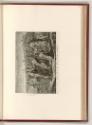 Raffaello Santi V. Die Stanzen II. III. & IV.- Die Arazzi, Die Übergabe der Schlüssel an Petrus…