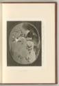 Raffaello Santi VI. Mythologische Darstellungen, Venere, Inv. Nr.: Italien nach Sektionen II/12…