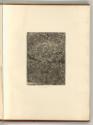 Michelangelo Buonarroti Vol. II, Das Jüngste Gericht (Sixtinische Kapelle), Inv. Nr.: Italien n…