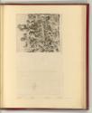 G.Pippi detto: Giulio Romano. Vol. I, Bacchantenzug, Inv. Nr.: Italien nach Sektionen II/17, It…
