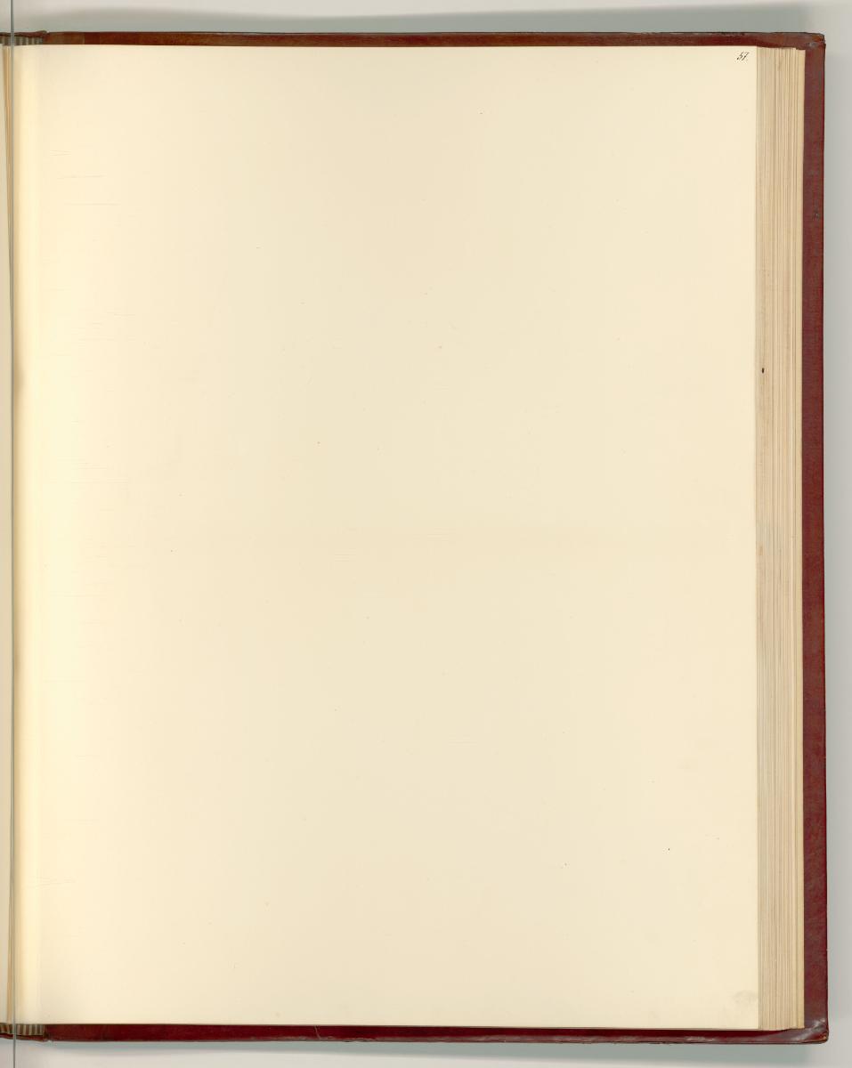 G.Pippi detto: Giulio Romano. Vol. II, Leerseite, Inv. Nr.: Italien nach Sektionen II/18, It/II…