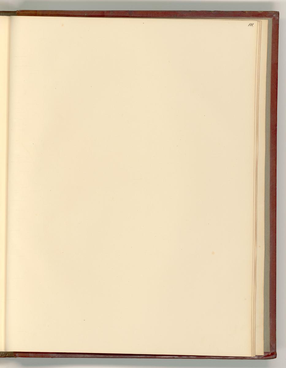 B. Bandinelli. L. Penni. B. Passeri. J. Carrucci, il Pontormo. Rosso de Rossi detto: Maitre Rou…