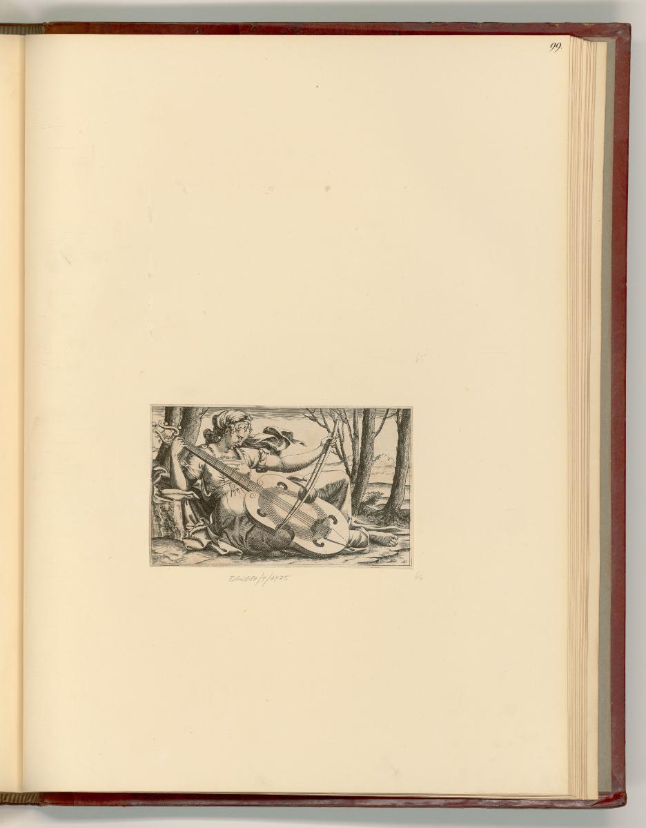 B. Bandinelli. L. Penni. B. Passeri. J. Carrucci, il Pontormo. Rosso de Rossi detto: Maitre Rou…