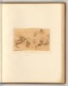 Leonardo da Vinci, Pferdestudien, Inv. Nr.: Italien nach Sektionen II/23, It/II/23/63