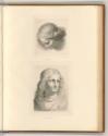 Leonardo da Vinci, Frauenkopf, Inv. Nr.: Italien nach Sektionen II/23, It/II/23/66