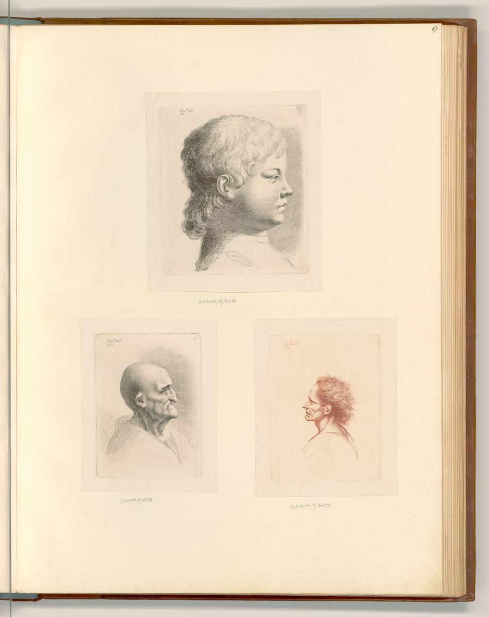 Leonardo da Vinci, Knabenkopf; Kopf eines alten Mannes, Inv. Nr.: Italien nach Sektionen II/23,…
