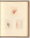 Leonardo da Vinci, Diverse Figurenstudien, Inv. Nr.: Italien nach Sektionen II/23, It/II/23/70
