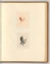 Leonardo da Vinci, Männerköpfe im Profil, Inv. Nr.: Italien nach Sektionen II/23, It/II/23/72
