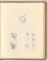 Leonardo da Vinci, Diverse Köpfe, Inv. Nr.: Italien nach Sektionen II/23, It/II/23/78
