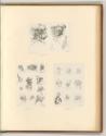 Leonardo da Vinci, Diverse Köpfe, Inv. Nr.: Italien nach Sektionen II/23, It/II/23/82