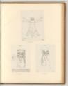 Leonardo da Vinci, Anatomische Studien, Inv. Nr.: Italien nach Sektionen II/23, It/II/23/93