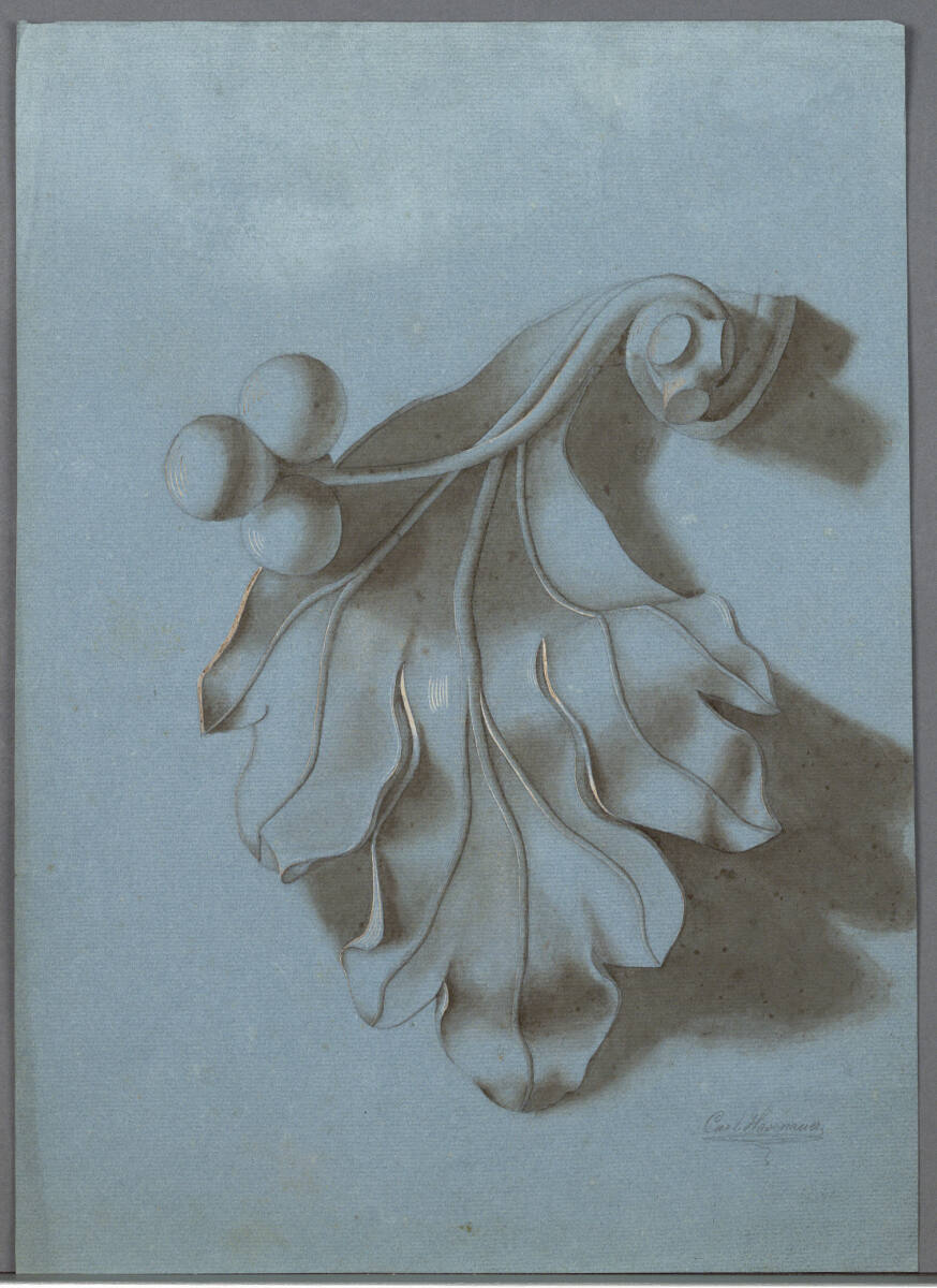 Steinernes Blatt, Carl von Hasenauer, 1850–1860