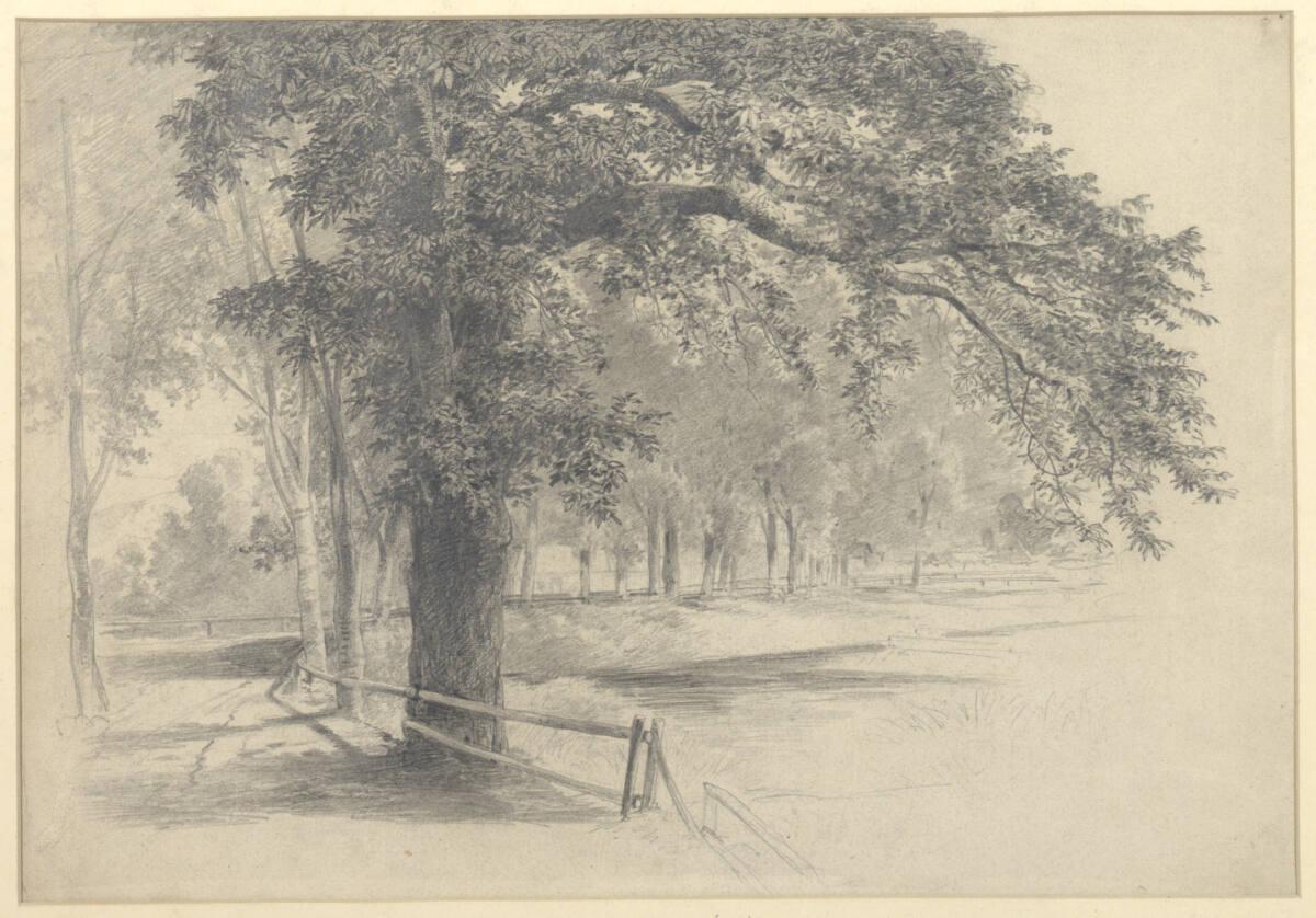 Eduard Brechler, Baumlandschaft, Inv. Nr.: 26688