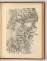 Antonio Allegri Vol. II (Correggio), Engel und Heilige in Wolken, Inv. Nr.: Italien nach Sektio…