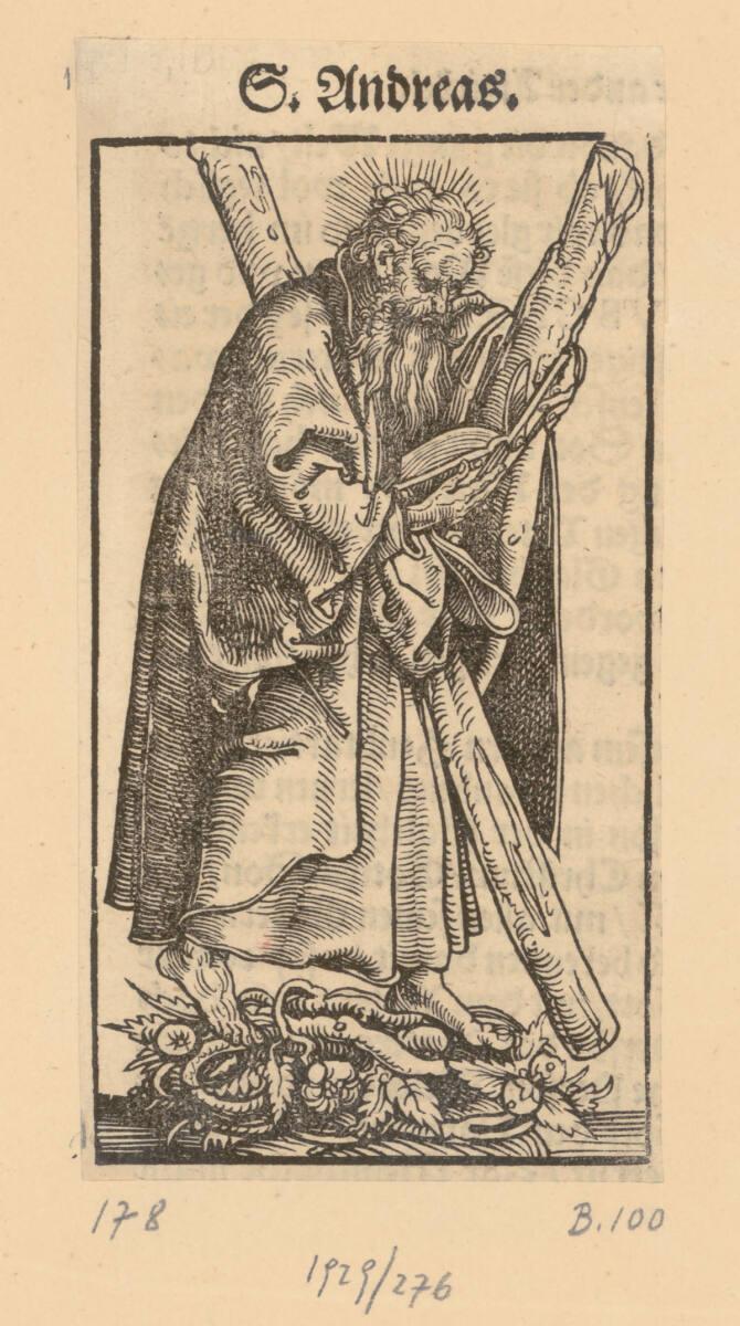 Lucas Cranach d. Ä., Der heilige Andreas, Inv. Nr.: DG1929/276