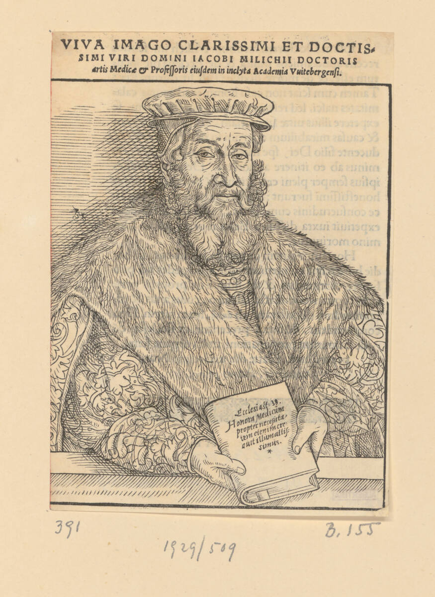Dr. Jakob Milich, Lucas Cranach d. J., 1560
