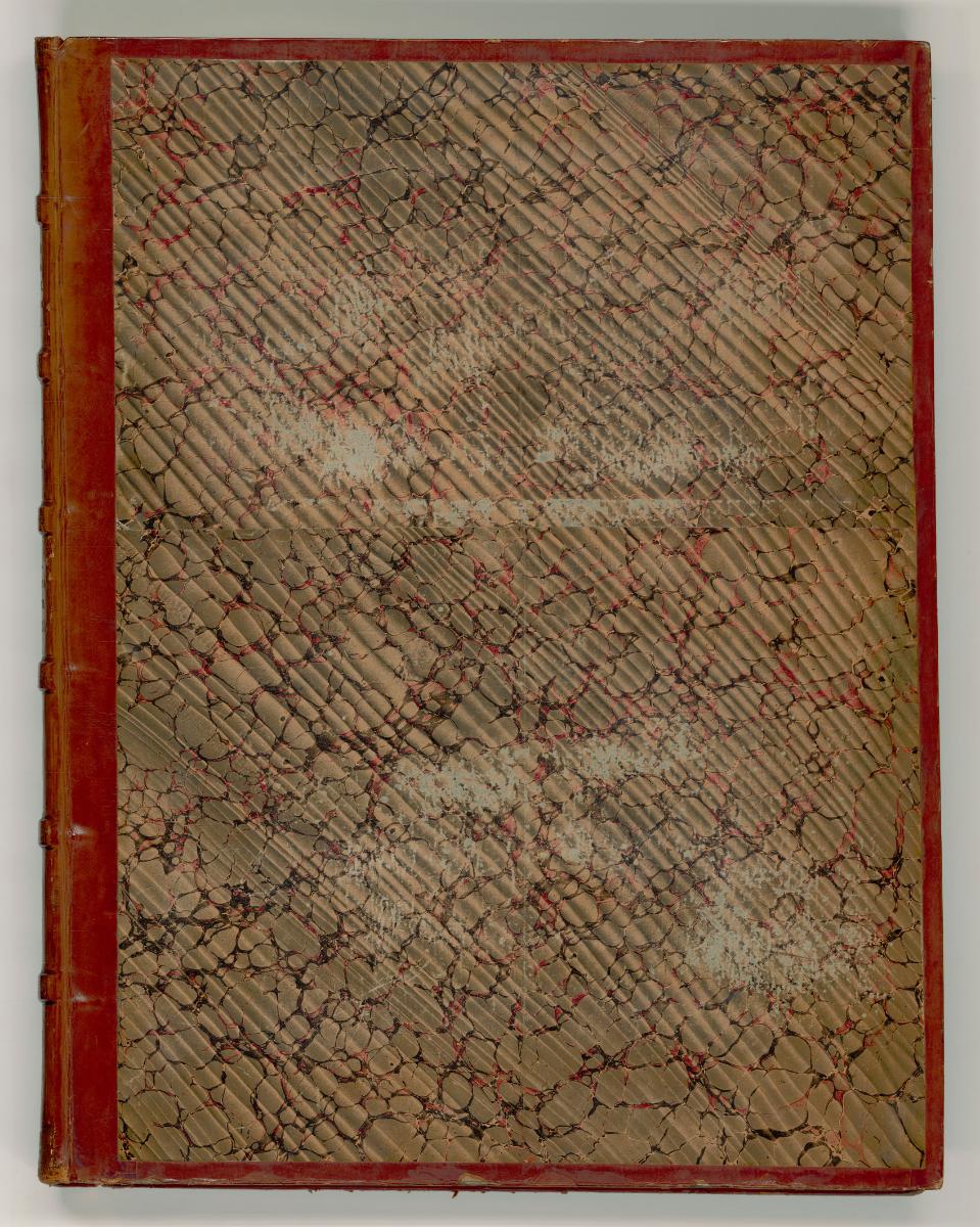 Don Giulio Clovio, detto Macedo. Pietro Bonacorsi, detto Pierino del Vaga. Daniele Ricciarelli,…