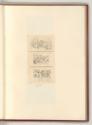 Don Giulio Clovio, detto Macedo. Pietro Bonacorsi, detto Pierino del Vaga. Daniele Ricciarelli,…