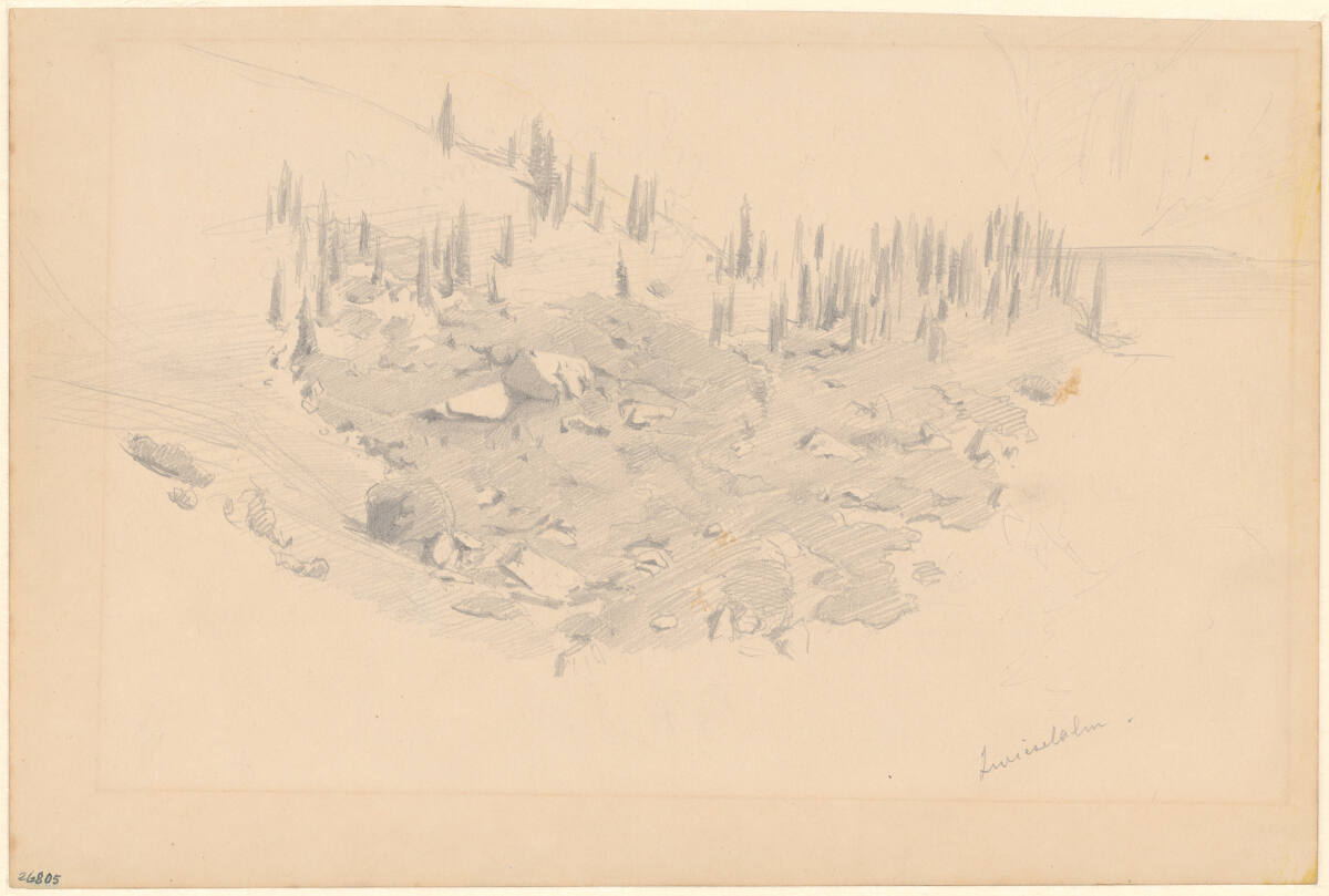 Almwiese auf der Zwieselalm, Carl Schuch